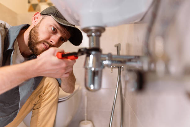 Best Clogged Drain Plumber  in Prosperity, WV